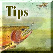 button_tip.JPG (22521 bytes)